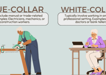 White-Collar Vs. Blue-Collar: What’S The Difference? – SIVZJI